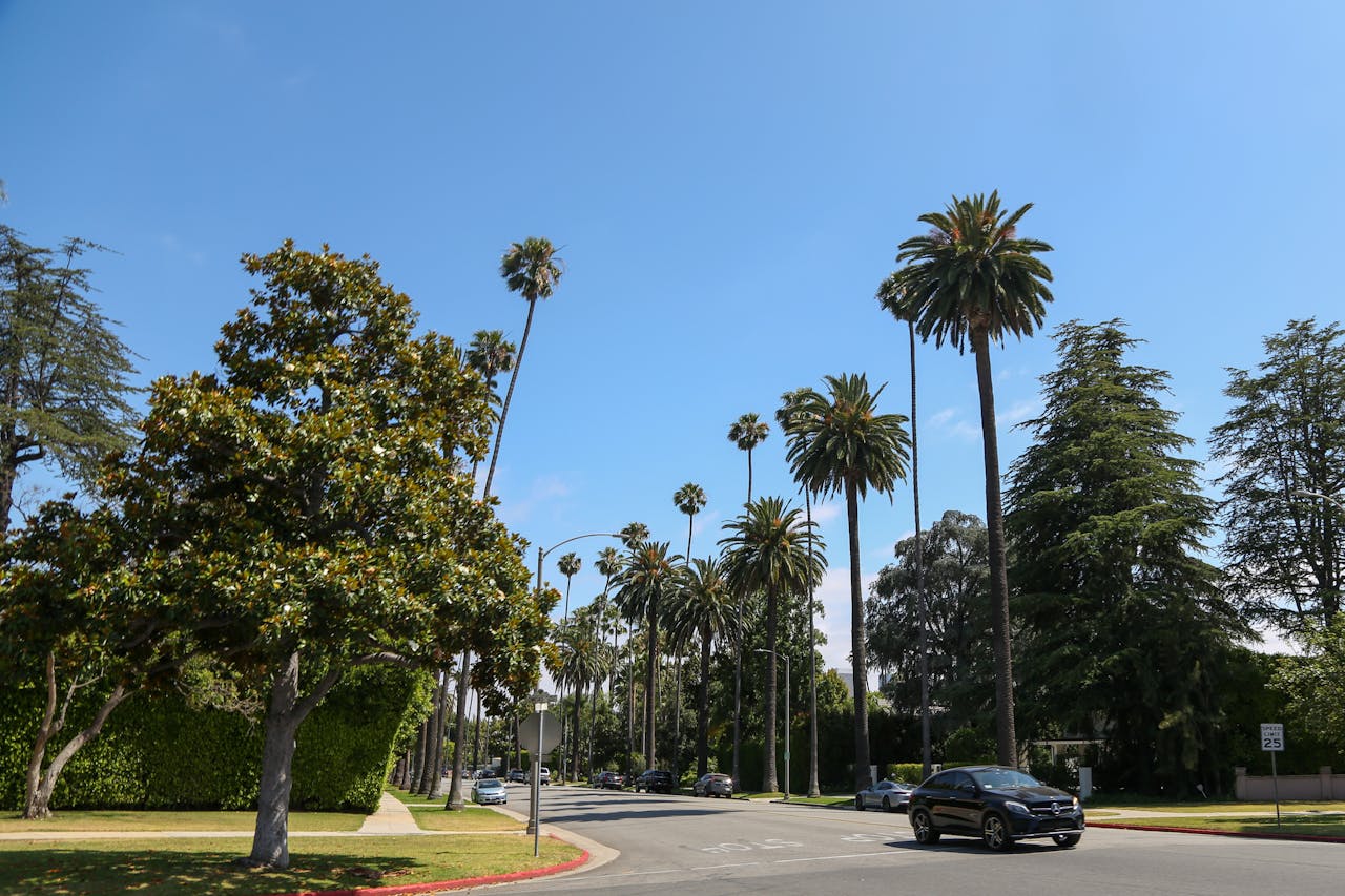 Beverly Hills california